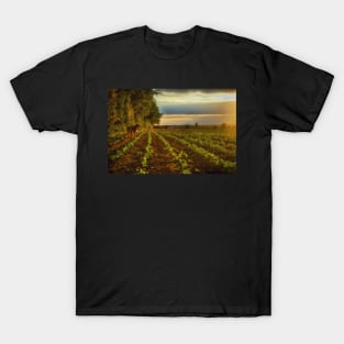 Walk in the Sun T-Shirt